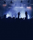 loreenofficial_250380191374671770378975568706080319471616n1_2827729.jpg